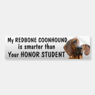おもしろいなRedboneのCoonhound -学生より頭が切れるな- バンパーステッカー