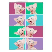 おもしろいなsphynxの子ネコ