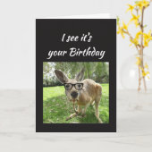 おもしろいのカンガルーは仲間のオーストラリア動物のユーモアを元気づけます カード (黄色い花)