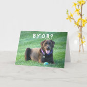 おもしろいのハッピーバースデーの挨拶状! 4人の愛犬家! カード (黄色い花)