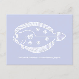 おもしろいのヒラメが白いライトパープル ポストカード