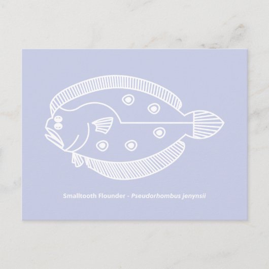 おもしろいのヒラメが白いライトパープル ポストカード (正面)
