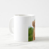 おもしろいのラクダのマグ: 私が美しいので私を憎まないで下さい コーヒーマグカップ (正面左)