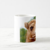 おもしろいのラクダのマグ: 私が美しいので私を憎まないで下さい コーヒーマグカップ (中央)