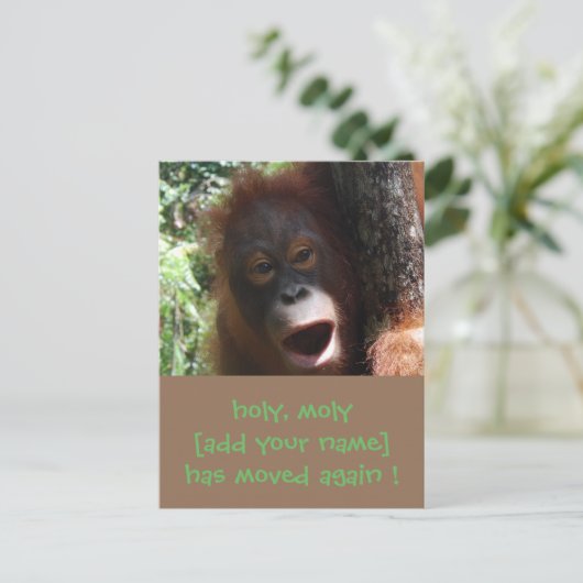 おもしろいの新しい住所の変更の発表 案内ポストカード (スタンド正面)