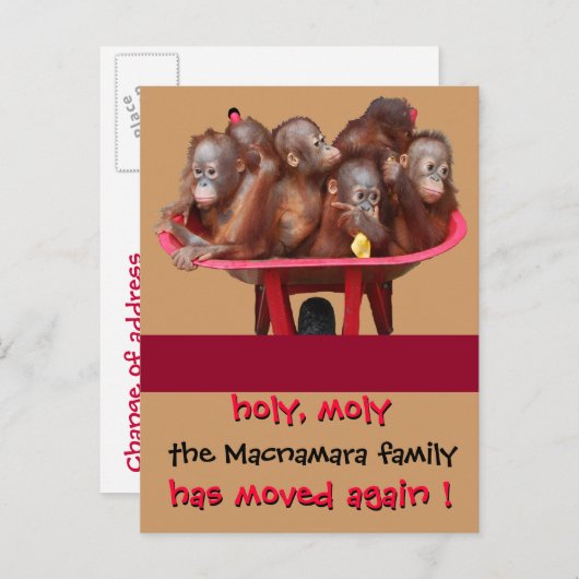 おもしろいの新しい住所の通知 案内ポストカード (正面/裏面)