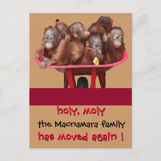 おもしろいの新しい住所の通知 案内ポストカード (正面)