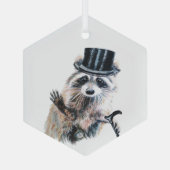 おもしろいの水の色の服を着たラクーン ガラスオーナメント (裏面)