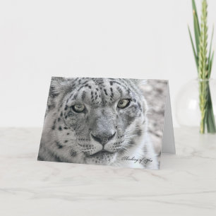 おもしろいの考えYour Card Hunged Snow Leopard カード