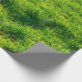 おもしろいの芝生のプリントの包装紙 ラッピングペーパー (角)