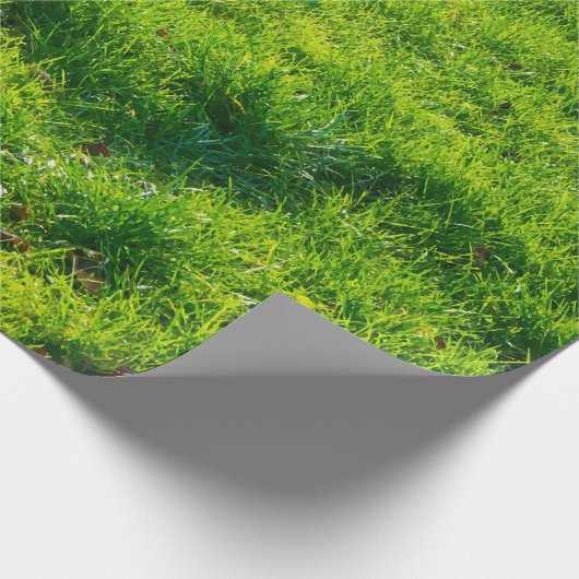 おもしろいの芝生のプリントの包装紙 ラッピングペーパー (角)