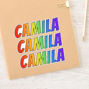 おもしろいの虹の着色の名"CAMILA" シール