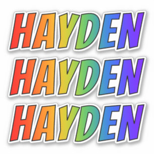 おもしろいの虹の着色の名"HAYDEN" シール