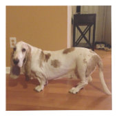 おもしろいの2つのサイズのパーソナライズな写真の立方体箱 フォトキューブ (正面)