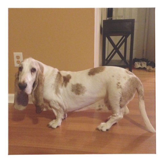 おもしろいの2つのサイズのパーソナライズな写真の立方体箱 フォトキューブ (正面)