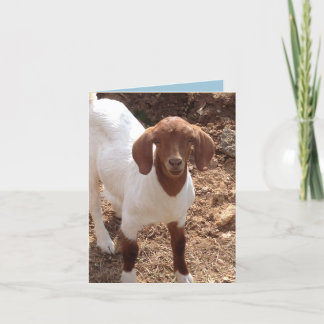 おもしろいのnotecards カード