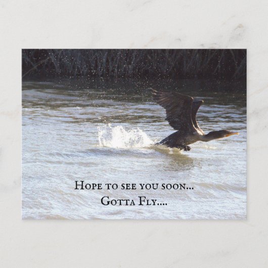 おもしろいはがき ポストカード (正面)