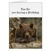 おもしろいは丘を越えて深刻なグリズリーベア (正面)