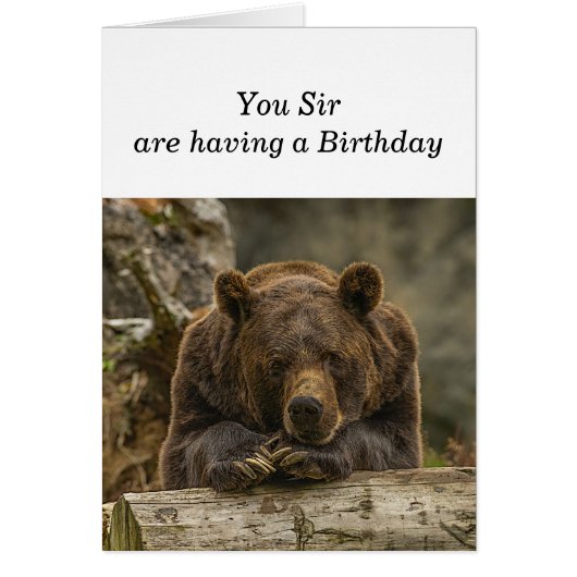 おもしろいは丘を越えて深刻なグリズリーベア (正面)