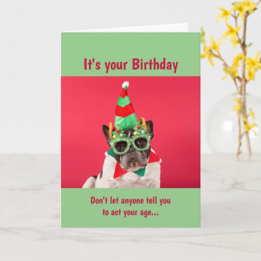 おもしろいは年齢に合わない誕生日犬のユーモア カード (黄色い花)