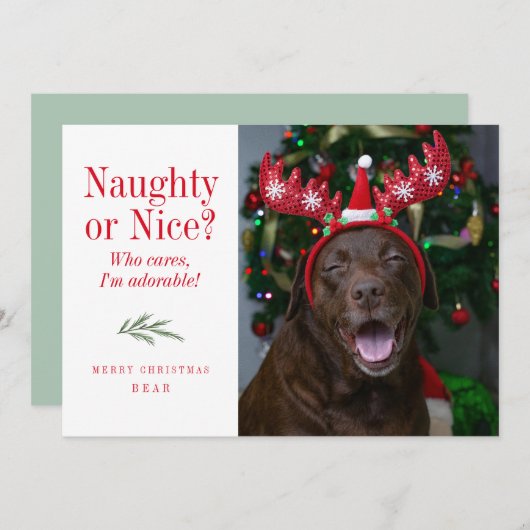 おもしろいまいけなたは素敵なペットのクリスマスフォトカード シーズンカード (正面/裏面)