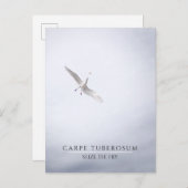 おもしろいやる気を起こさせるシーガル・カルペ・ディエム・フフランスのライ ポストカード (正面/裏面)