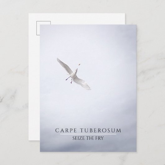 おもしろいやる気を起こさせるシーガル・カルペ・ディエム・フフランスのライ ポストカード (正面/裏面)