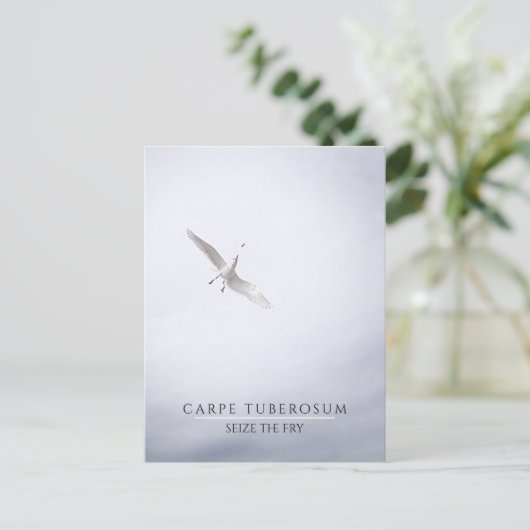 おもしろいやる気を起こさせるシーガル・カルペ・ディエム・フフランスのライ ポストカード (スタンド正面)