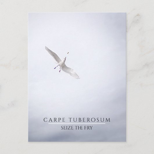 おもしろいやる気を起こさせるシーガル・カルペ・ディエム・フフランスのライ ポストカード (正面)