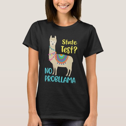 おもしろいやる気を起こさせる州試験日 Tシャツ (正面)