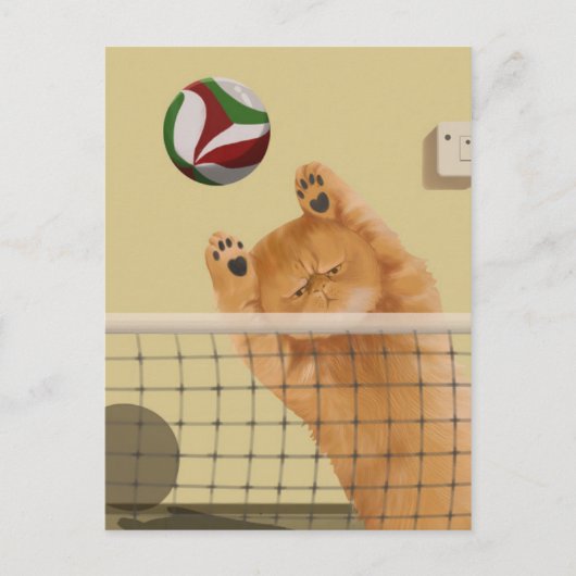 おもしろいよくはしゃぐお洒落Cat: Volleyball ポストカード (正面)