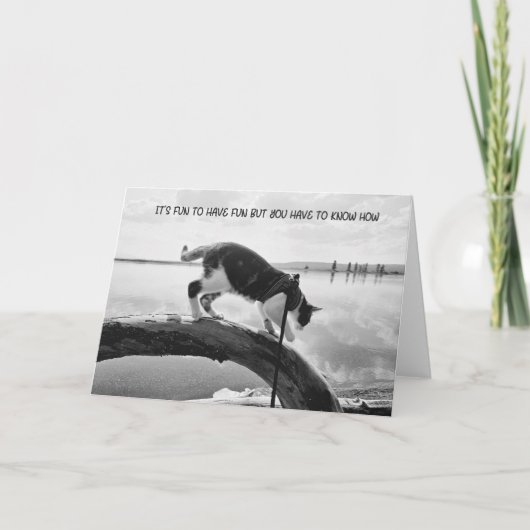 おもしろいを持つのはおもしろいだ 案内状 (正面)