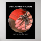 おもしろいアドバイスが不機嫌を取得しない ポスター (正面)