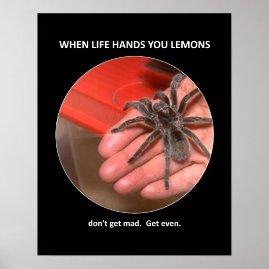 おもしろいアドバイスが不機嫌を取得しない ポスター (正面)