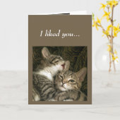 おもしろいアニバーサリーキャッツ保があなたを愛 カード (黄色い花)