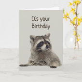 おもしろいアライグマはギフトのためのお金を持っていない カード (黄色い花)