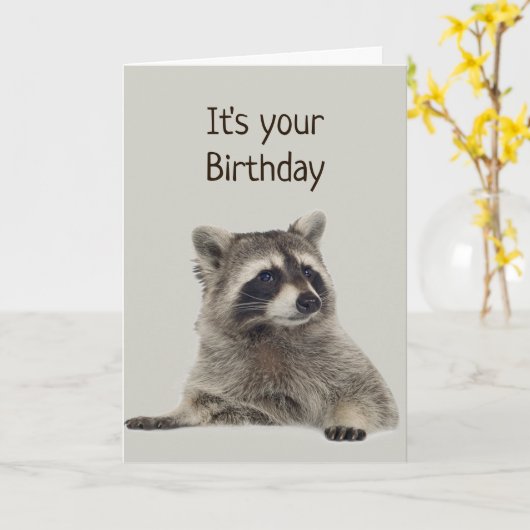 おもしろいアライグマはギフトのためのお金を持っていない カード (黄色い花)