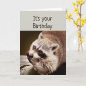 おもしろいアライグマ服を着て爪、 ネイルを終える カード (黄色い花)