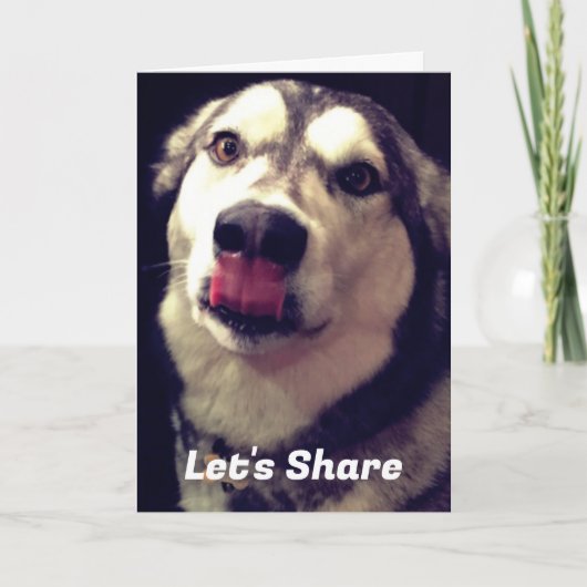 おもしろいアラスカンマラムートカバー写真テンプレート カード (正面)