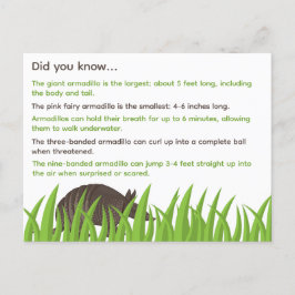 おもしろいアルマジロの事実 ポストカード