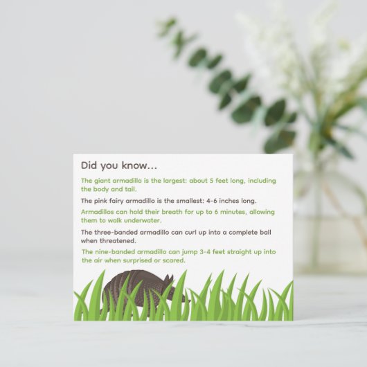 おもしろいアルマジロの事実 ポストカード (スタンド正面)