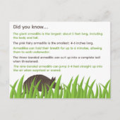 おもしろいアルマジロの事実 ポストカード (正面)