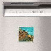 おもしろいウミガメ マグネット (インサイチュ (食洗機))