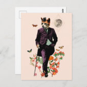 おもしろいエレガント猫 ポストカード (正面/裏面)