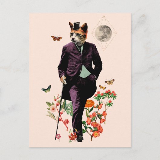 おもしろいエレガント猫 ポストカード (正面)