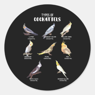おもしろいオウムPet鳥エキゾチック球果タイプ ラウンドシール