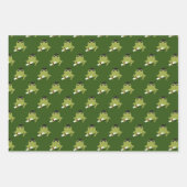 おもしろいカエル卒業 ラッピングペーパーシート (正面3)