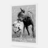 おもしろいカスタム犬の写真結婚歓迎 アクリルサイン (傾斜)