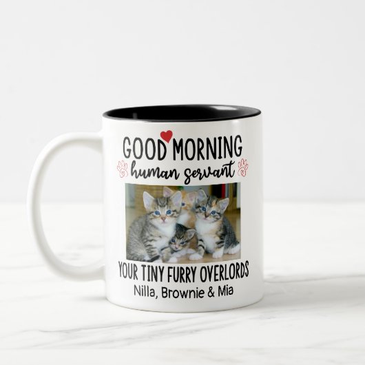 おもしろいカスタム猫好き2 Cat Photos Mug ツートーンマグカップ (左)