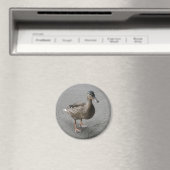 おもしろいカモ磁石 マグネット (インサイチュ (食洗機))